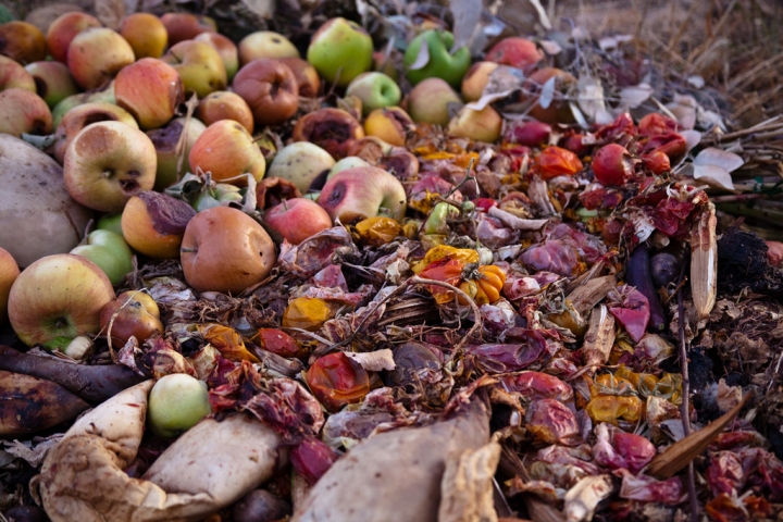 Read more about the article New Jersey Is Cutting Food Waste to Help the Climate