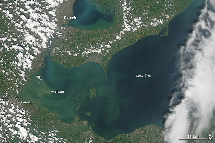 Read more about the article Climate Change Means More Fuel for Toxic Algae Blooms